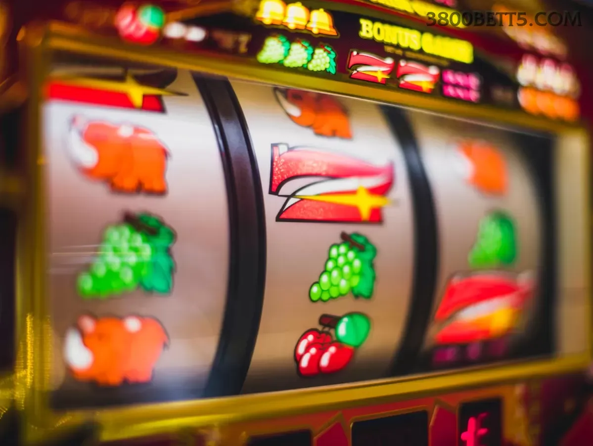 Slots Online 3800bet